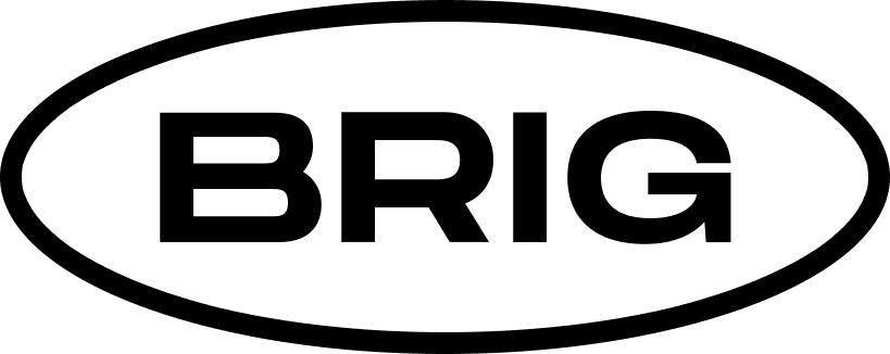 Birmingham Race Impact Group logo