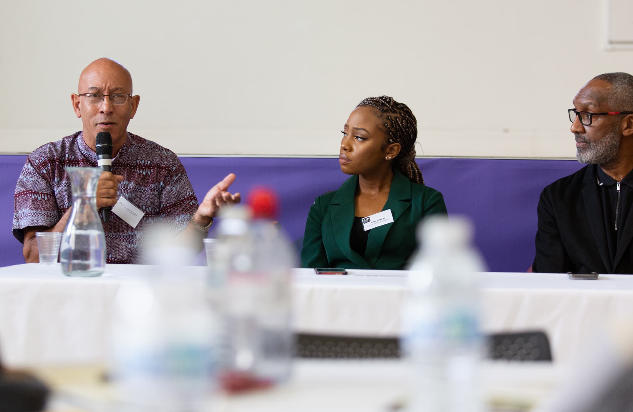 An expert panel seated at APA's founding conference, one panellist speaking into a microphone